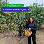 RUTA DEL CHANCHO AL PALO - HUARAL